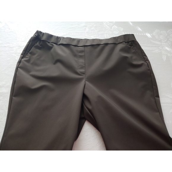 Lane Bryant Brown Pull On Stretchy Pants Size  26 EUC - Picture 3 of 10